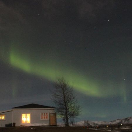 Gamla Husith - The Old House Villa Selfoss Ngoại thất bức ảnh